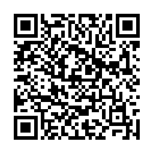 他的手指和眼球就像是受到了某种神秘力量的操纵二维码生成