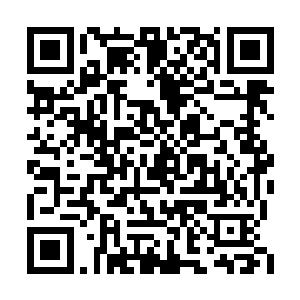 他的收获就是成功捕捉并感悟出了一道法则之力二维码生成