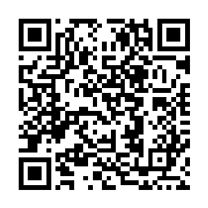 他的本能意识到苏落的血液乃是天地间最珍贵的天材地宝后二维码生成