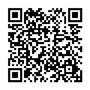 他的机甲也成了继蛋圆圆和燕子扬后天元第三特色机甲二维码生成