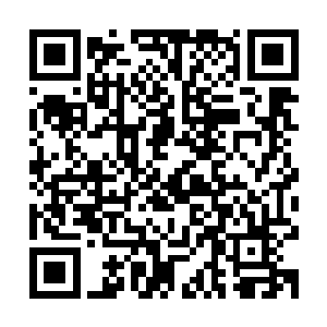 他的杀气之所以不成熟就是因为他的杀气并不是靠杀人杀出来的二维码生成
