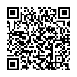 他的权杖……全部被妥善保管在其中某个房间内二维码生成