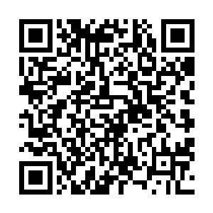 他的每一个细胞乃至每一串基因链都在曲线上荡漾和散开二维码生成