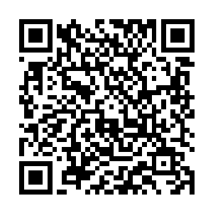 他的毒火和焚天佛火这种可以号称可以焚天的火焰相比二维码生成