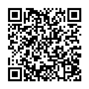 他的注意力全都被血之宇宙内的宇宙核心吸引了二维码生成