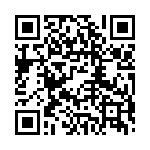 他的生活助理小猫还坐在电脑前玩愤怒的小鸟二维码生成