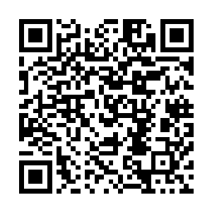 他的目光也不由自主地聚焦于半空中翱翔嬉戏的叶帝和叶凰二维码生成