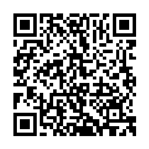 他的目光忽然盯着杨开手上抛来抛去的一截木雕二维码生成