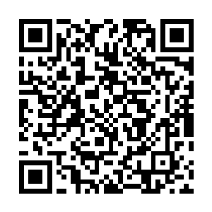 他的目光紧紧地锁定在了海豚一族小公主伊莉的身上……二维码生成
