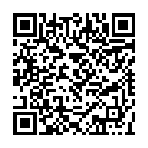 他的目光落在了一个方圆约有千丈大小的坑洞上二维码生成