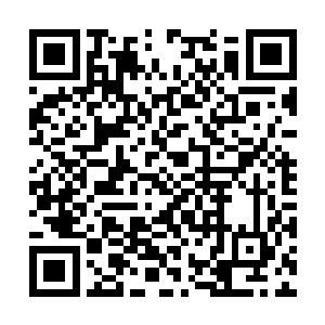 他的稿费得有多高才能买下一整幢别墅来做画室啊二维码生成