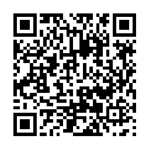 他的背影怎么看怎么像拍卖场内的那个黑袍蒙面人二维码生成