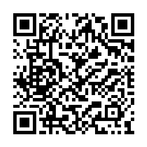 他的脊背上隐隐约约露出一根金属光泽的细柱体二维码生成