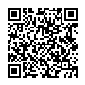 他的脑海里除了对前世那个攻略的撰写者破口大骂之外二维码生成