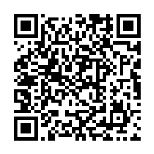 他的视线本能地移到了自己手中的那张临时工作证上二维码生成