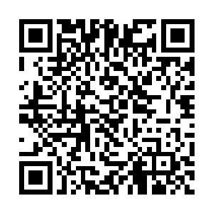 他的身后可是跟着三十名S级佣兵六十名九鼎高手的二维码生成