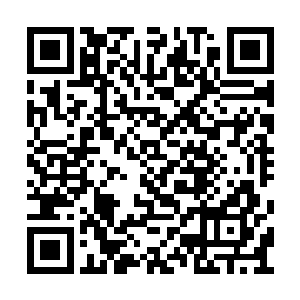 他的这两个便宜表弟表弟妹居然还在那里鼓捣着二维码生成