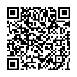 他的魂海改变不过是生命能量使用具现之一而已二维码生成