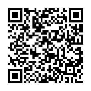 他直接义无反顾的帮助他们对付圣地最大的势力二维码生成