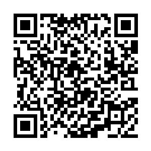 他相信楚天机的攻击速度可以快过他的危机闪避二维码生成