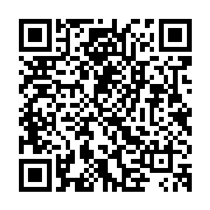 他相信菲利普和哈迪斯这二人不会照着剧本来将人类转化为丧尸二维码生成