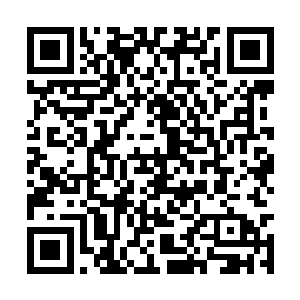 他看了看自己面前这些摆放的整整齐齐的天材地宝二维码生成