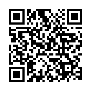 他看到一颗大树上面有他留下痕迹二维码生成