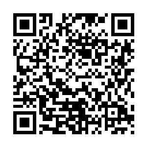 他看到了一些身强体壮的人类正在那大树的下方躲避魔族的杀戮二维码生成