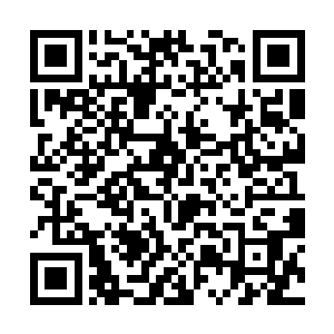 他看到了一队整整齐齐的军队和一些身穿散衣的高手二维码生成