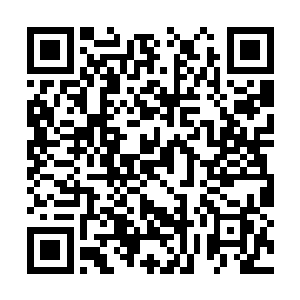 他看到了前方有着很多的人族和海族聚集在了前方二维码生成