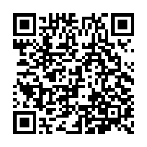 他看到吴副总经理和万芳菲两人进入了客厅之中二维码生成