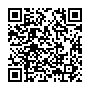 他看到她那副尽量装作让自己不在乎的样子很高兴二维码生成