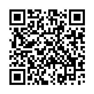 他看着瞬息之间便停在了半空之中的伽娜二维码生成