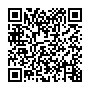 他看见苏林的一瞬间便是果断的一下子跪倒在苏林面前二维码生成
