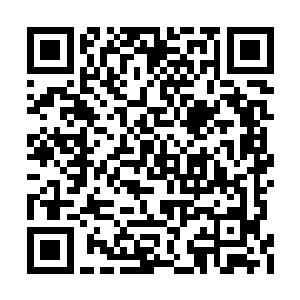 他真的不知道该怎样去面对王柔这份执着的感情二维码生成