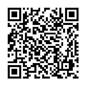 他真的完全没想到龙哥会对他这个提议答应下来的二维码生成