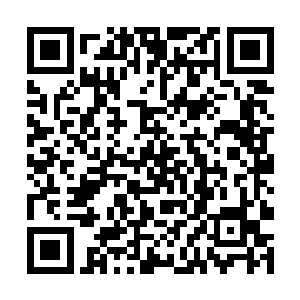 他眼神之中充满着无尽的杀气朝着东方家主方向看去二维码生成