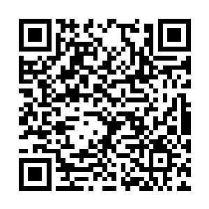 他知道了去杀害秦洛和米紫安的杀手是一个韩国人二维码生成