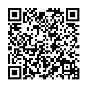 他知道体内的焚天佛火和佘老的毒火一个在不断的蚕食二维码生成