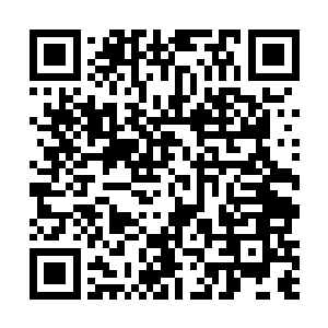 他知道此刻想要逃走按照自己如今的速度肯定是不行了二维码生成