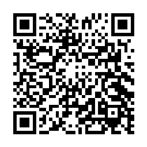 他知道江冰绫在财政局办公室时很受办公室老主任的照顾二维码生成