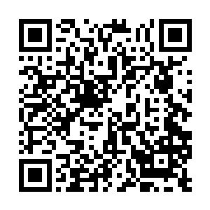 他知道自己的这个东西自然逃不出徐老爷子的法眼二维码生成