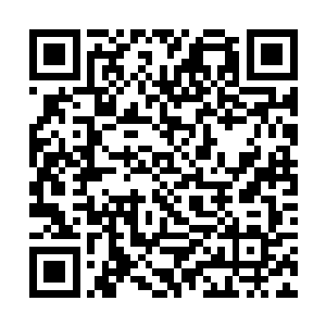 他知道自己眼下还进不了这群叔叔伯伯的行动当中去二维码生成