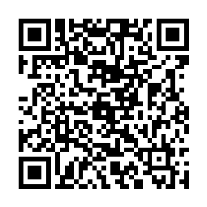 他知道若是安静待下去下一个惨叫的人就会是他了二维码生成