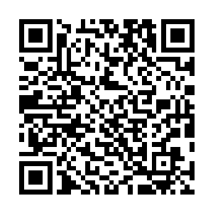 他知道若是让剑尘和血剑门四大护法联合来对付自己五人二维码生成