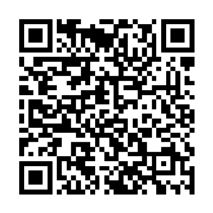 他神宫中的那个有着七层外壳的金蛋的最后一层外壳二维码生成