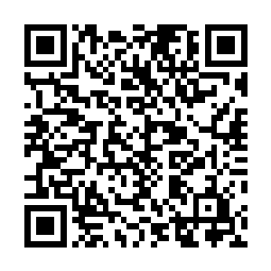 他离家出走时想的是到北地投靠大表哥后做出一番事业来二维码生成
