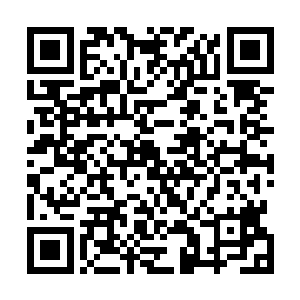 他终于明白为什么第五层会有黑色大蛇与蝎子怪物存在了二维码生成