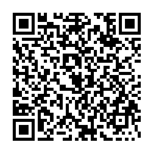 他给人界自己所有的传人留下唯一的信念就是杀光所有和夏天有关的人二维码生成