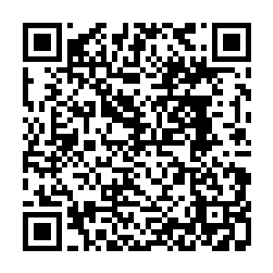 他绝不相信五鼎九阶的人凭借自己的实力可以灭杀那么多六鼎九阶的高手二维码生成
